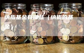 纳指基金有哪些（纳指的基金）