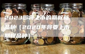 2023即将上市的期权新品种（2020年将要上市期权品种）