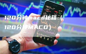 120分钟macd秘籍（120分钟MACD）