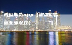 微型期货app（微型期货营业部设立）