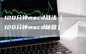 120分钟macd战法（120分钟macd秘籍）