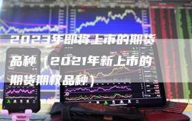 2023年即将上市的期货品种（2021年新上市的期货期权品种）